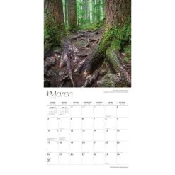 Washington Wild And Scenic 2024 Wall Calendar -Calendars Sales Store b729fb68 0ae4 4a22 8f5c 5d9a0a3ecdd1
