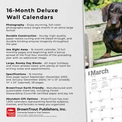 Dachshunds Deluxe 2024 Wall Calendar -Calendars Sales Store b74b715a 02ed 4383 8b37 42eb4d490072