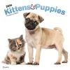Kittens And Puppies 2024 Wall Calendar -Calendars Sales Store b7772c34 ba43 4ca0 809d 8d7588ed5854