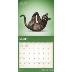 Yoga Cats 2024 French Wall Calendar 12 Yoga Cats 2024 French Wall Calendar -Calendars Sales Store b7784e8e c3fd 4228 a0bb af7b063ce764