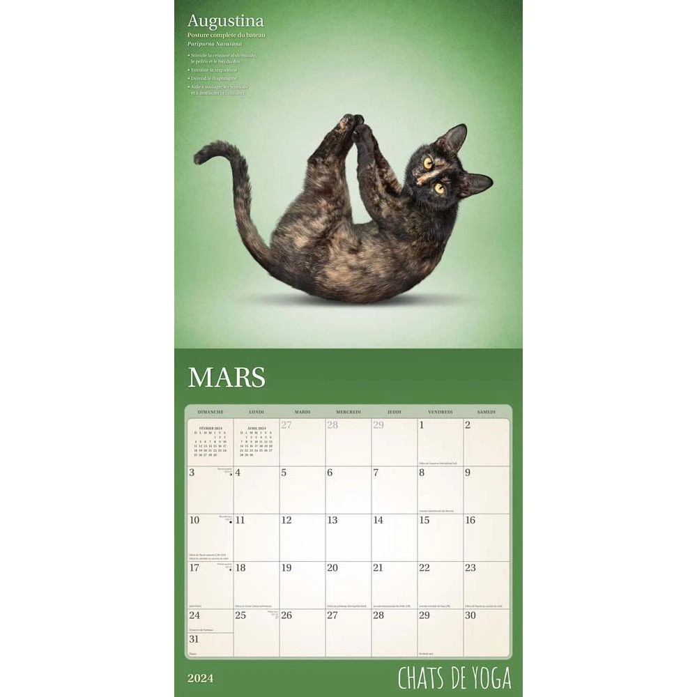 Yoga Cats 2024 French Wall Calendar 5 Yoga Cats 2024 French Wall Calendar - Image 3