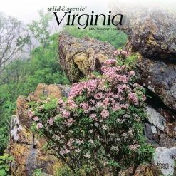 Virginia Wild And Scenic 2024 Wall Calendar