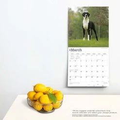 Great Danes International 2024 Wall Calendar -Calendars Sales Store b82946f8 6489 40f7 a04e e9290ff8cddc