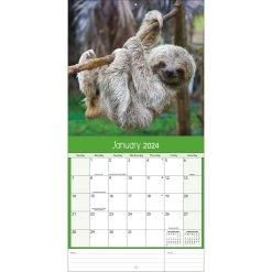 Baby Animals Photo 2024 Wall Calendar -Calendars Sales Store b8857d57 1ae9 4932 8e4b ccb0975c8c67