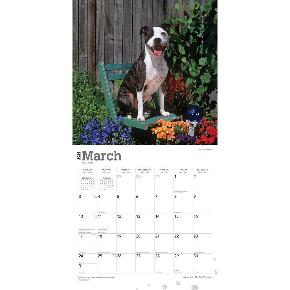 Pit Bull Terriers 2024 Wall Calendar 5 Pit Bull Terriers 2024 Wall Calendar - Image 3