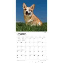 Welsh Corgis Pembroke 2024 Wall Calendar -Calendars Sales Store b909a65b 2cff 4e47 8a48 7ef86537e468