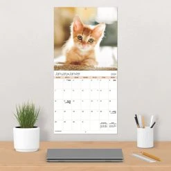 Kittens Bilingual 2024 Wall Calendar (FR) -Calendars Sales Store ba9ab980 edc8 44f7 a72a 5023b0d08fb2