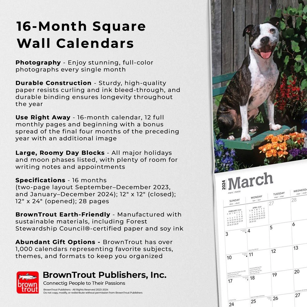 Pit Bull Terriers 2024 Wall Calendar 7 Pit Bull Terriers 2024 Wall Calendar - Image 5