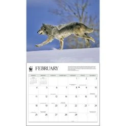 Wolves WWF 2024 Wall Calendar -Calendars Sales Store bc38bd05 c795 4a15 9e4b d5052a6db662
