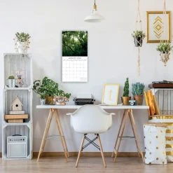 Jungles 2024 Wall Calendar -Calendars Sales Store bc94ff16 58b3 4c02 a4c4 31aaaccdc1e3