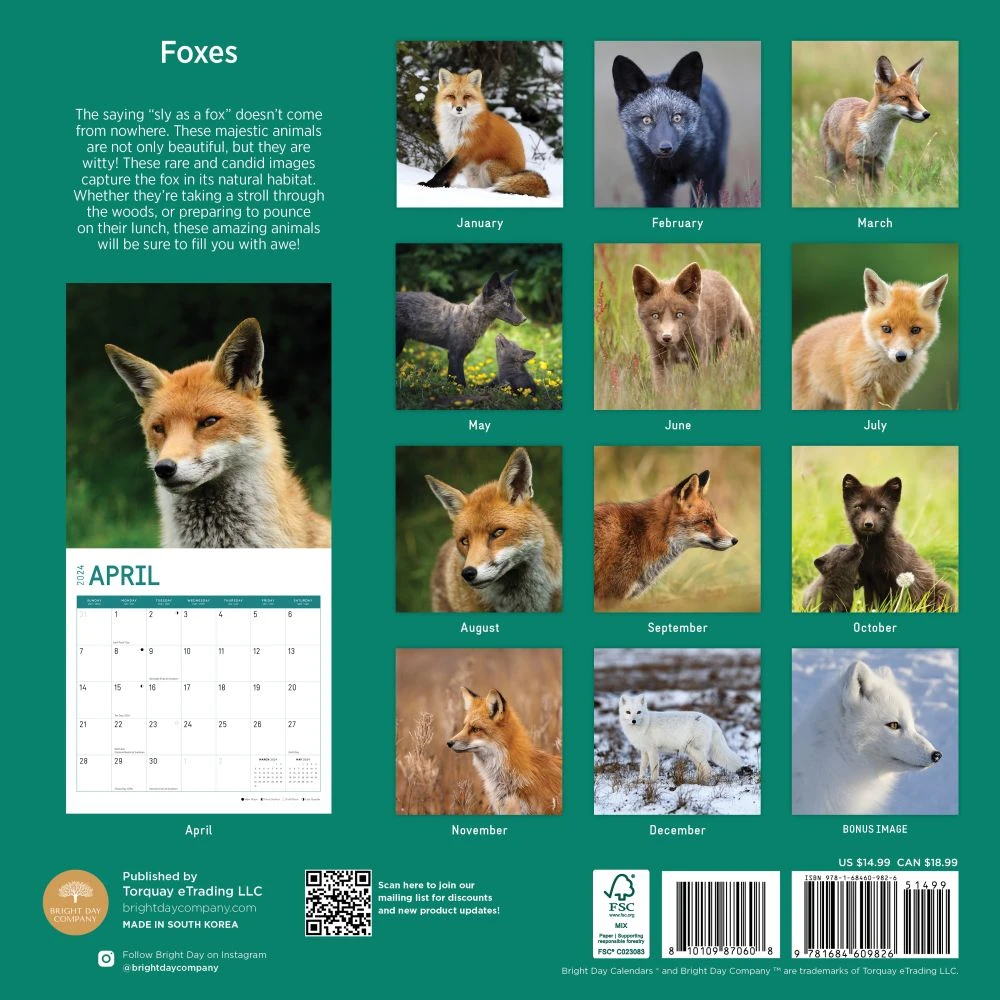 Foxes 2024 Wall Calendar 4 Foxes 2024 Wall Calendar - Image 2