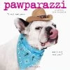 Pawparazzi 2024 Wall Calendar