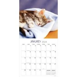 Cat Dreams 2024 Wall Calendar -Calendars Sales Store beed2d24 abd9 4447 8105 267b323cbc55