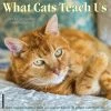 What Cats Teach Us 2024 Wall Calendar -Calendars Sales Store bf345cd5 8440 49bd 9d3a 1b12c6d4b622