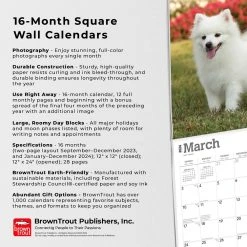 American Eskimo Dogs 2024 Wall Calendar 14 American Eskimo Dogs 2024 Wall Calendar -Calendars Sales Store bf59ce3b e55e 49ce a999 54e5c030e999
