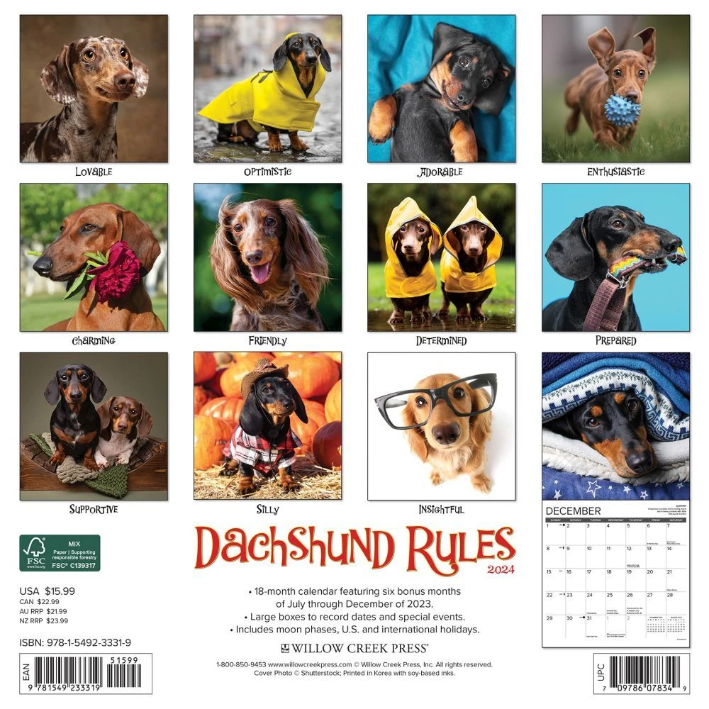 Dachshund Rules 2024 Wall Calendar 4 Dachshund Rules 2024 Wall Calendar - Image 2