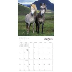 Spirited Horse 2024 Wall Calendar -Calendars Sales Store c0d0d9a6 8de5 4574 9b21 f7dc0a514668