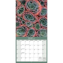 Succulents Photo 2024 Wall Calendar -Calendars Sales Store c156c278 54d5 4343 9e1b 17718b304d60