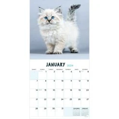 Kittens 2024 Wall Calendar 10 Kittens 2024 Wall Calendar -Calendars Sales Store c1b78881 36de 42cb b4d1 12f4178d9816