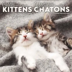 Kittens Bilingual 2024 Wall Calendar (FR)