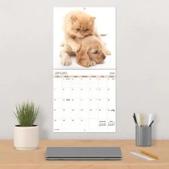 Buddies 2024 Wall Calendar 7 Buddies 2024 Wall Calendar -Calendars Sales Store c2a8ecf7 7aa6 4054 af91 052812075653