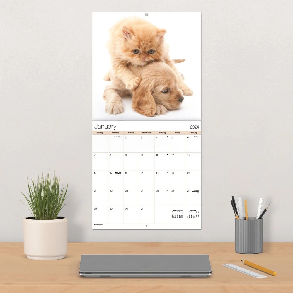 Buddies 2024 Wall Calendar 5 Buddies 2024 Wall Calendar - Image 3