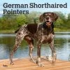 German Shorthaired Pointers 2024 Wall Calendar -Calendars Sales Store c2c67bb9 494f 4dba a58e b2b648abc5af