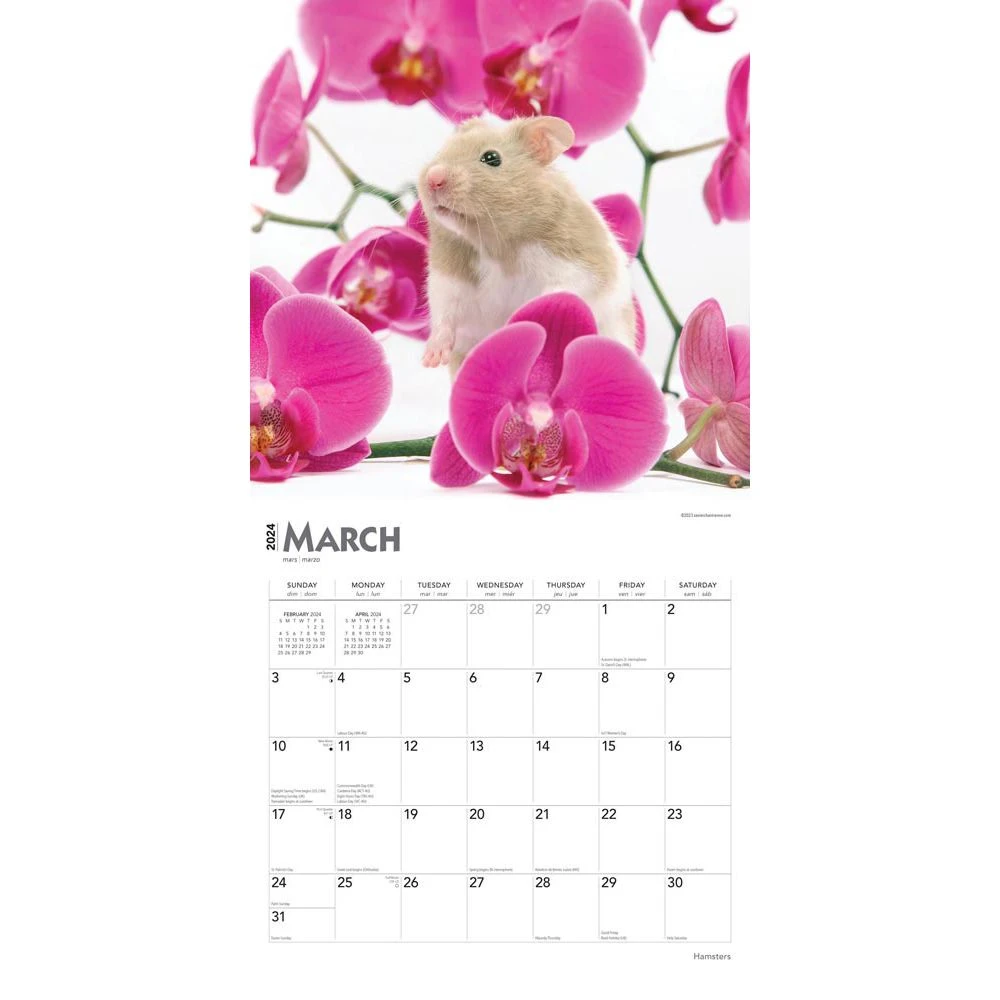 Hamsters 2024 Wall Calendar 5 Hamsters 2024 Wall Calendar - Image 3