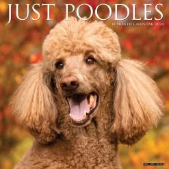 Just Poodles 2024 Wall Calendar