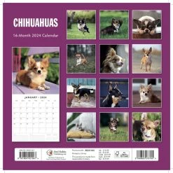 Chihuahuas 2024 Wall Calendar -Calendars Sales Store c420fb6a 1f60 4abb 9848 300fdb9963fc