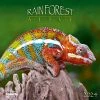 Rainforest Alive 2024 Wall Calendar -Calendars Sales Store c5ddaf48 f586 4165 bb30 ae673bf132df