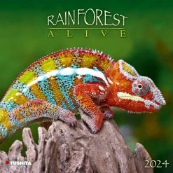 Rainforest Alive 2024 Wall Calendar