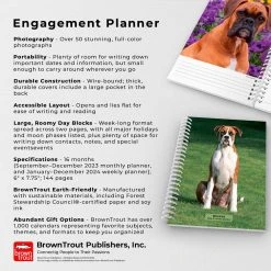 Boxers International Edition Engagement 2024 Desk Calendar -Calendars Sales Store c6076f65 0041 4b88 a42a 8a4c53a65c65