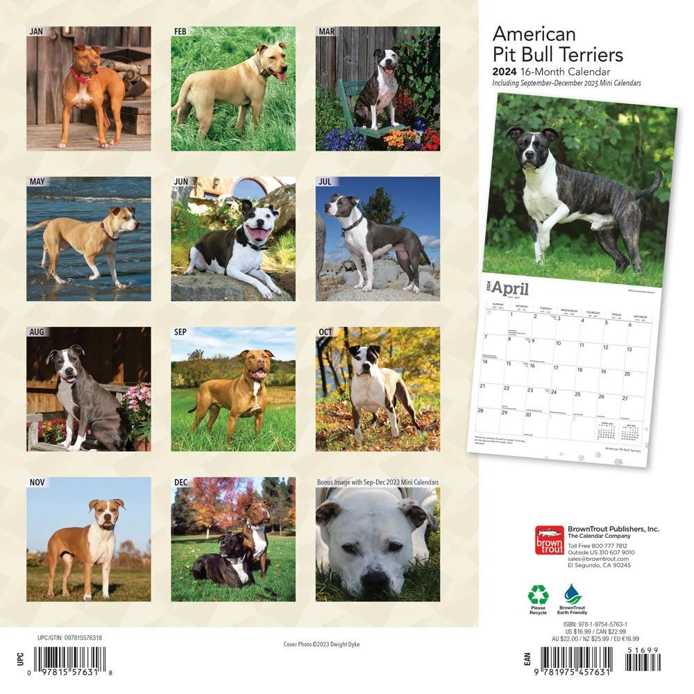 Pit Bull Terriers 2024 Wall Calendar 4 Pit Bull Terriers 2024 Wall Calendar - Image 2