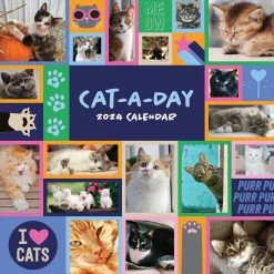 Cat A Day 2024 Wall Calendar