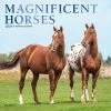 Magnificent Horses 2024 Wall Calendar -Calendars Sales Store c7945d7f 5cc5 4494 b5b6 717b7aa1a8c7
