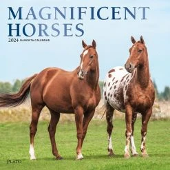 Magnificent Horses 2024 Wall Calendar