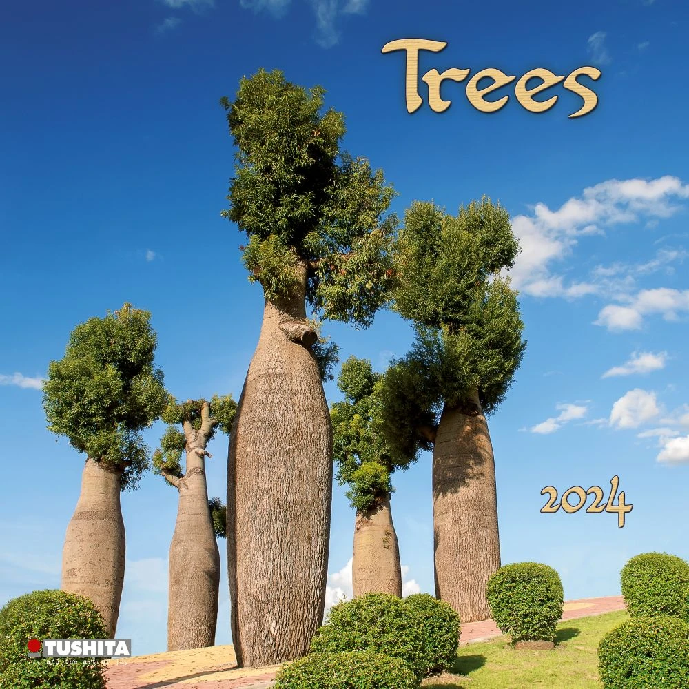 Trees 2024 Wall Calendar 3 Trees 2024 Wall Calendar