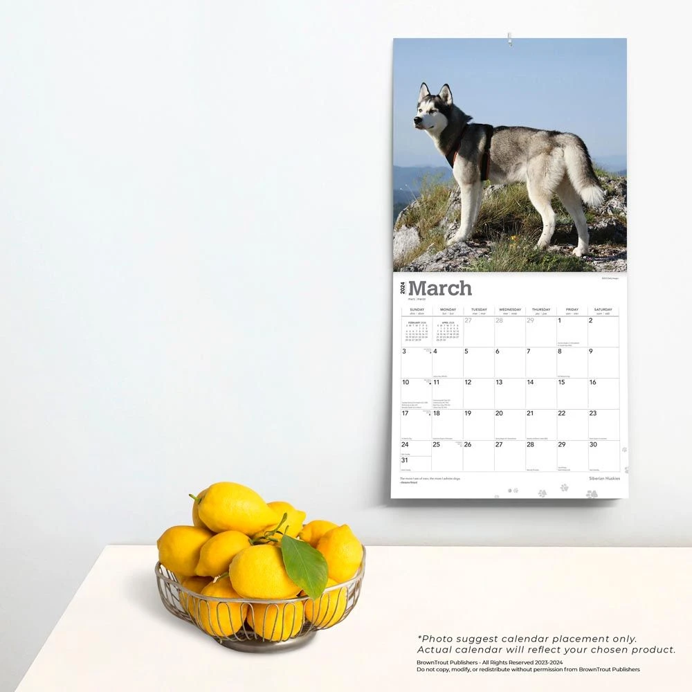Siberian Huskies 2024 Wall Calendar 6 Siberian Huskies 2024 Wall Calendar - Image 4