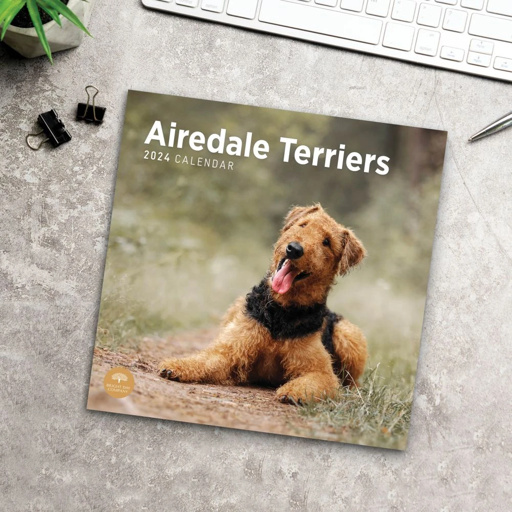 Airedale Terriers 2024 Wall Calendar 8 Airedale Terriers 2024 Wall Calendar - Image 6