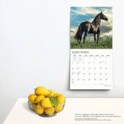 Magnificent Horses 2024 Wall Calendar -Calendars Sales Store c98df17e 2539 4806 aef9 2262aa9a6a98