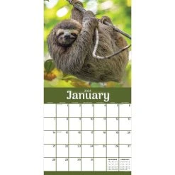 Sloths 2024 Wall Calendar -Calendars Sales Store cbab17dd 10bb 44fd b099 424c36de9b81