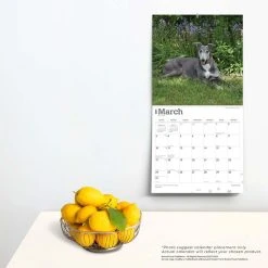 Greyhounds 2024 Wall Calendar -Calendars Sales Store cbd7e9eb 68b6 4fd9 ba10 f299a5463dd6