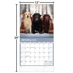Labrador Retrievers Photo 2024 Wall Calendar -Calendars Sales Store cc7619d2 4e18 4797 aca8 ca0ce1117dcc