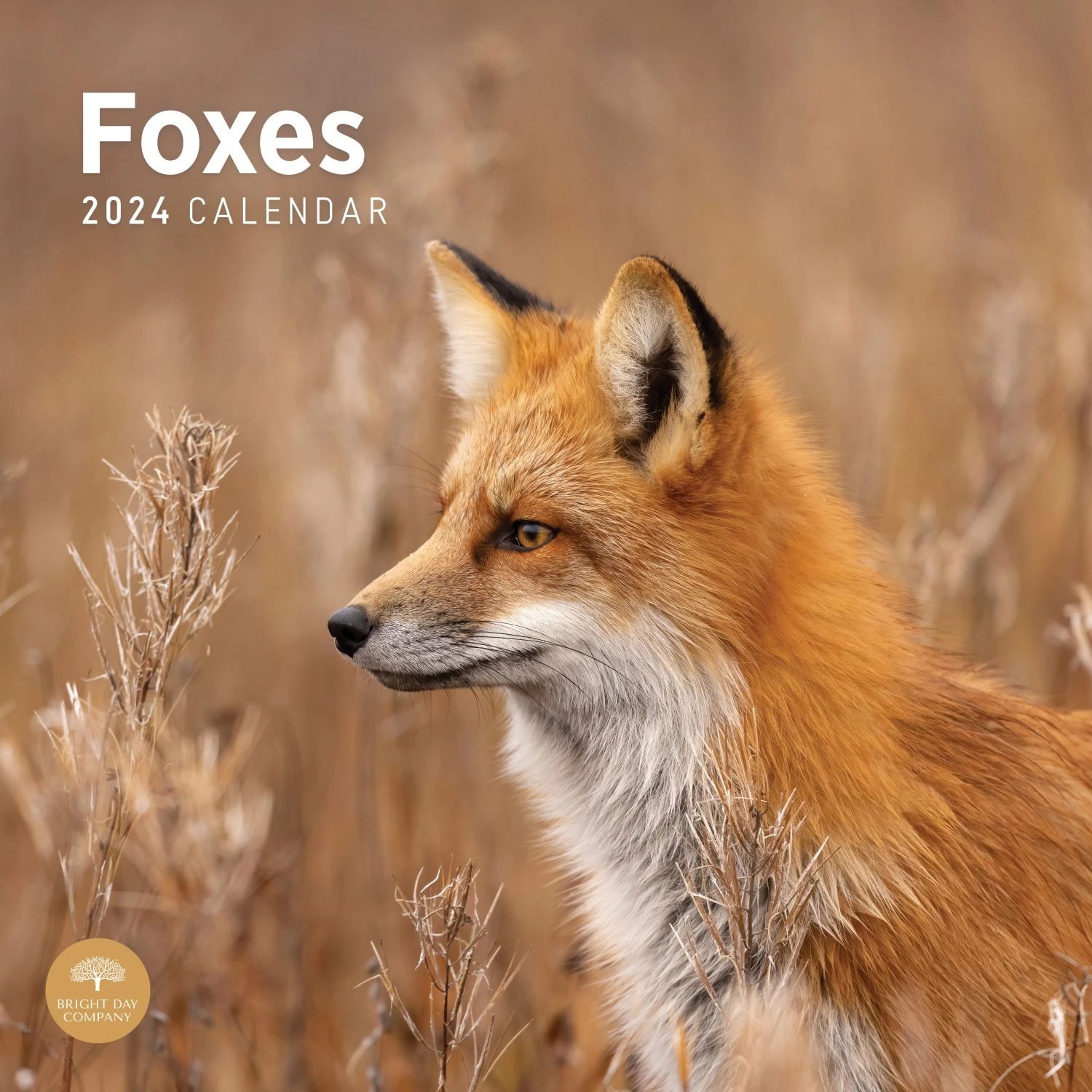 Foxes 2024 Wall Calendar 3 Foxes 2024 Wall Calendar