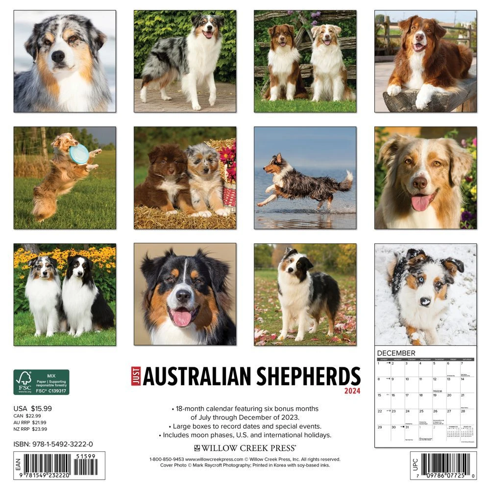 Just Australian Shepherds 2024 Wall Calendar 4 Just Australian Shepherds 2024 Wall Calendar - Image 2