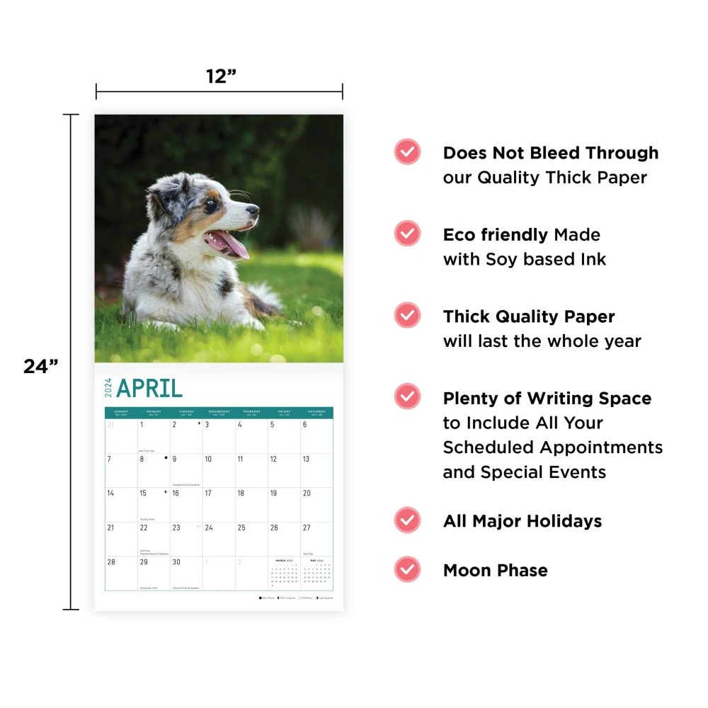 Australian Shepherds 2024 Wall Calendar 8 Australian Shepherds 2024 Wall Calendar - Image 6