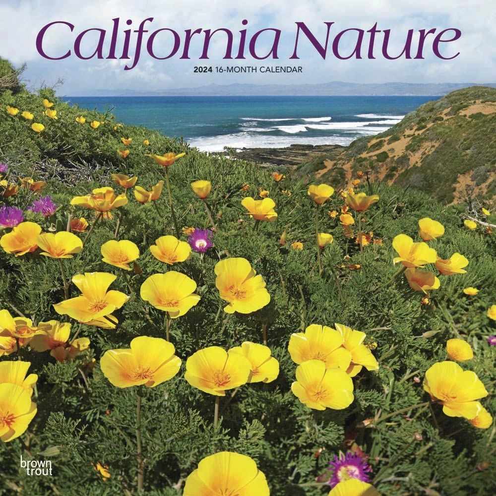 California Nature 2024 Wall Calendar 3 California Nature 2024 Wall Calendar