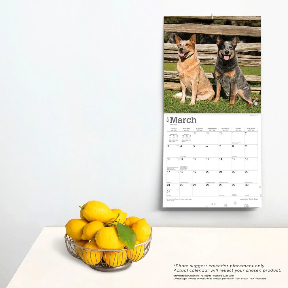 Australian Cattle Dogs 2024 Wall Calendar 6 Australian Cattle Dogs 2024 Wall Calendar - Image 4