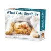 Cats What Cats Teach Us 2024 Desk Calendar -Calendars Sales Store cef56690 4be0 4344 9227 d49de2bbe5cf